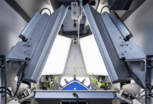 Plant sorting machine by ISO Group powered by Robovision