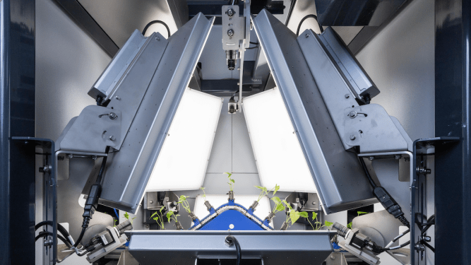 Plant sorting machine by ISO Group powered by Robovision
